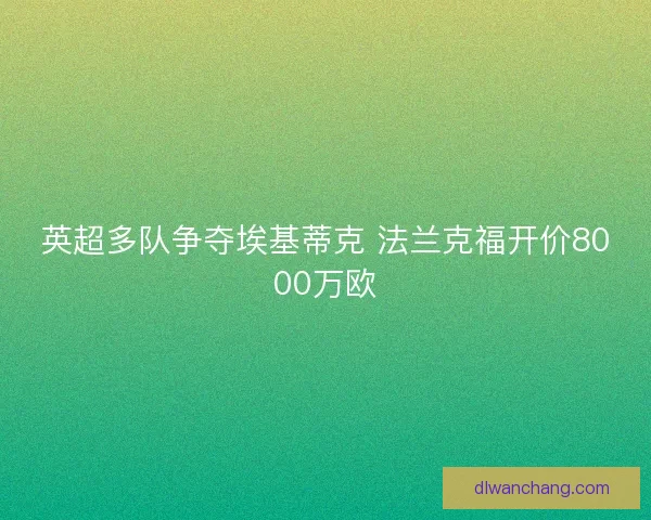 英超多队争夺埃基蒂克 法兰克福开价8000万欧