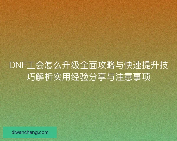 DNF工会怎么升级全面攻略与快速提升技巧解析实用经验分享与注意事项